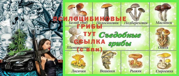 амф Богородицк