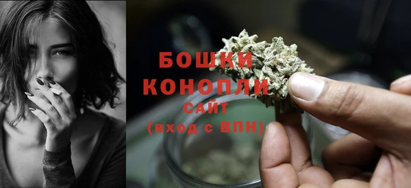 амф Богородицк