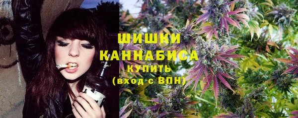 амф Богородицк