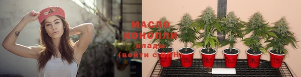 спиды Сосновка