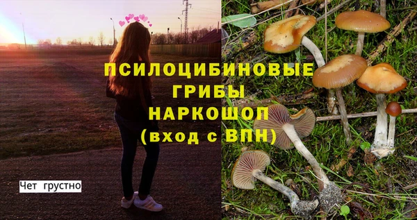ALPHA-PVP Богданович