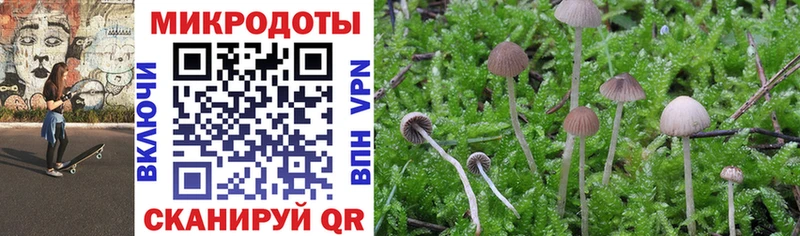 blacksprut ССЫЛКА  Краснокаменск  Галлюциногенные грибы Magic Shrooms 